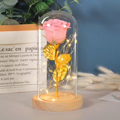 Eternal Rose Flower LED Light In Glass Cover