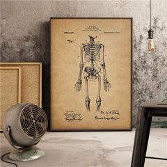 Vintage Skeleton Photo Wall Decor Medical Anatomy Poster