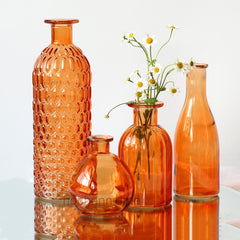Small Fresh Flower Glass Vases